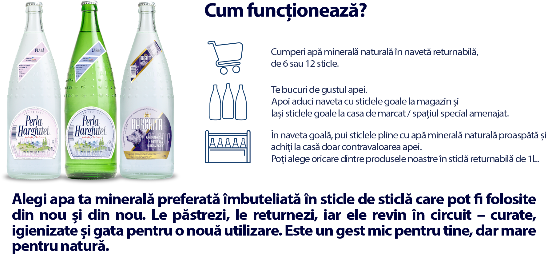 Cum funcționează?